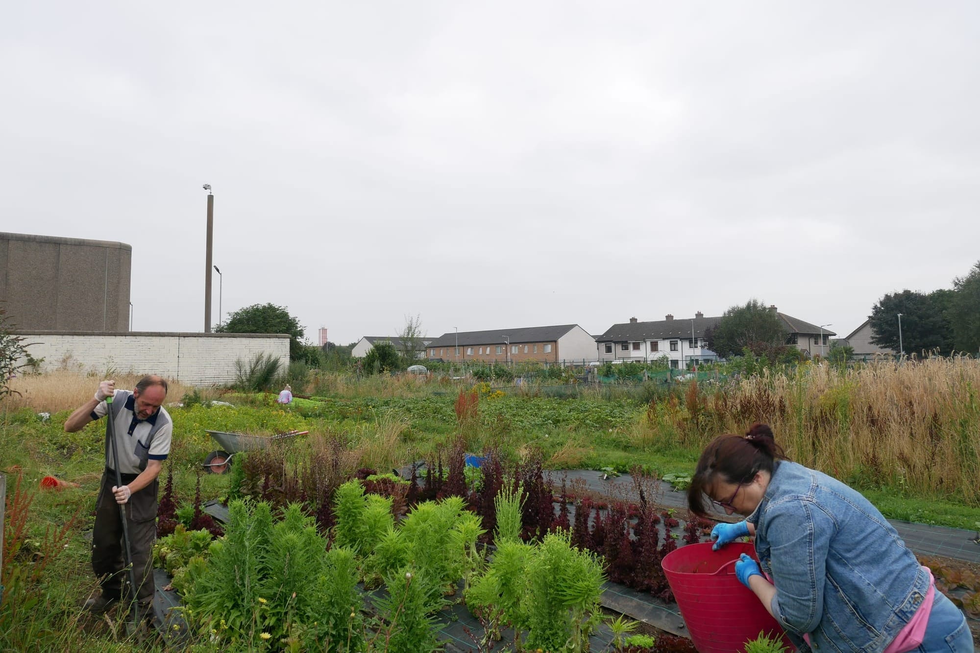 The prize-winning salad patch at Cherry Orchard Community Garden. 