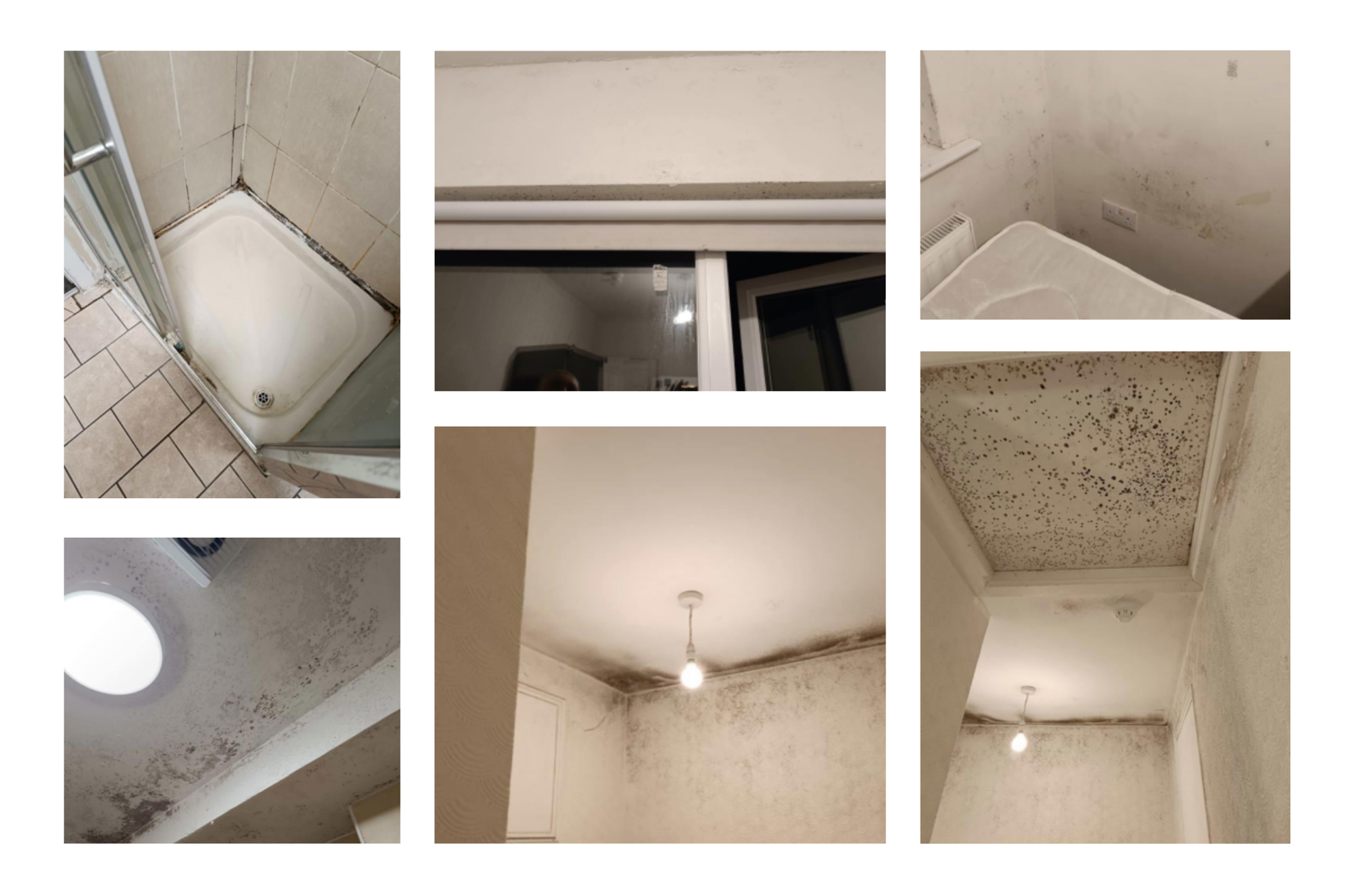 Photos sent by Alba Fernandez in December 2024 to Leevin Ireland, along with complaint about humidity and mould.
