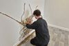 Oisín Tozer carves an orchid on the walls of his studio. 