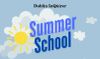 A graphic with a sun and blue sky and clouds and the words "Dublin Inquirer Summer School"