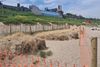 Council investigates chemical "attacks" on beach grass in Balbriggan