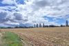 Solar farm big enough to power 25,000 homes planned for fields in north county Dublin