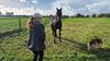 What to do with the horses of Darndale?