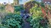 As dumping continues, a councillor suggests exploring a composting scheme for horse manure