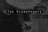 The Hierophants by Oisín Fagan, Reviewed