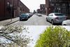 Dublin’s Arboreal Inequality: More Money, More Trees
