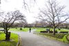 Brushing up: St Stephen’s Green’s wrapped walkways that never were