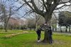 In Ringsend, Two Students Dream Big for Their Local Park