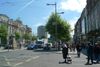 Dublin’s Trees: Summer’s Here, but Where’s the Shade?