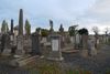 Searching for Lobo in Mount Jerome Cemetery