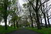 A History Group Hopes to Tempt Drimnagh Locals into a Park