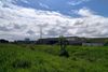 File photo of green grass and a blue sky with white clouds and a long industrial building at the old Chivers factory site in