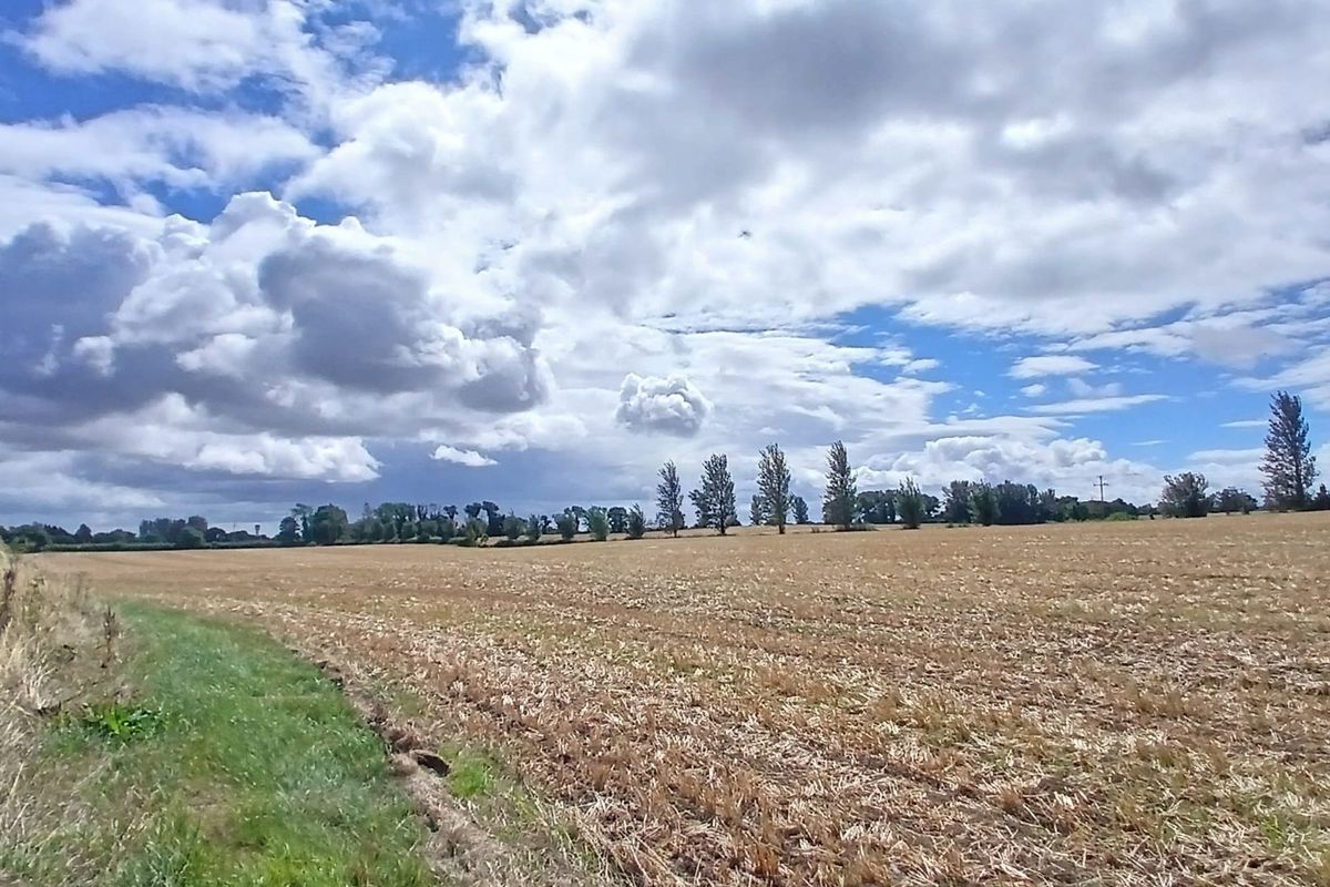 Solar farm big enough to power 25,000 homes planned for fields in north county Dublin