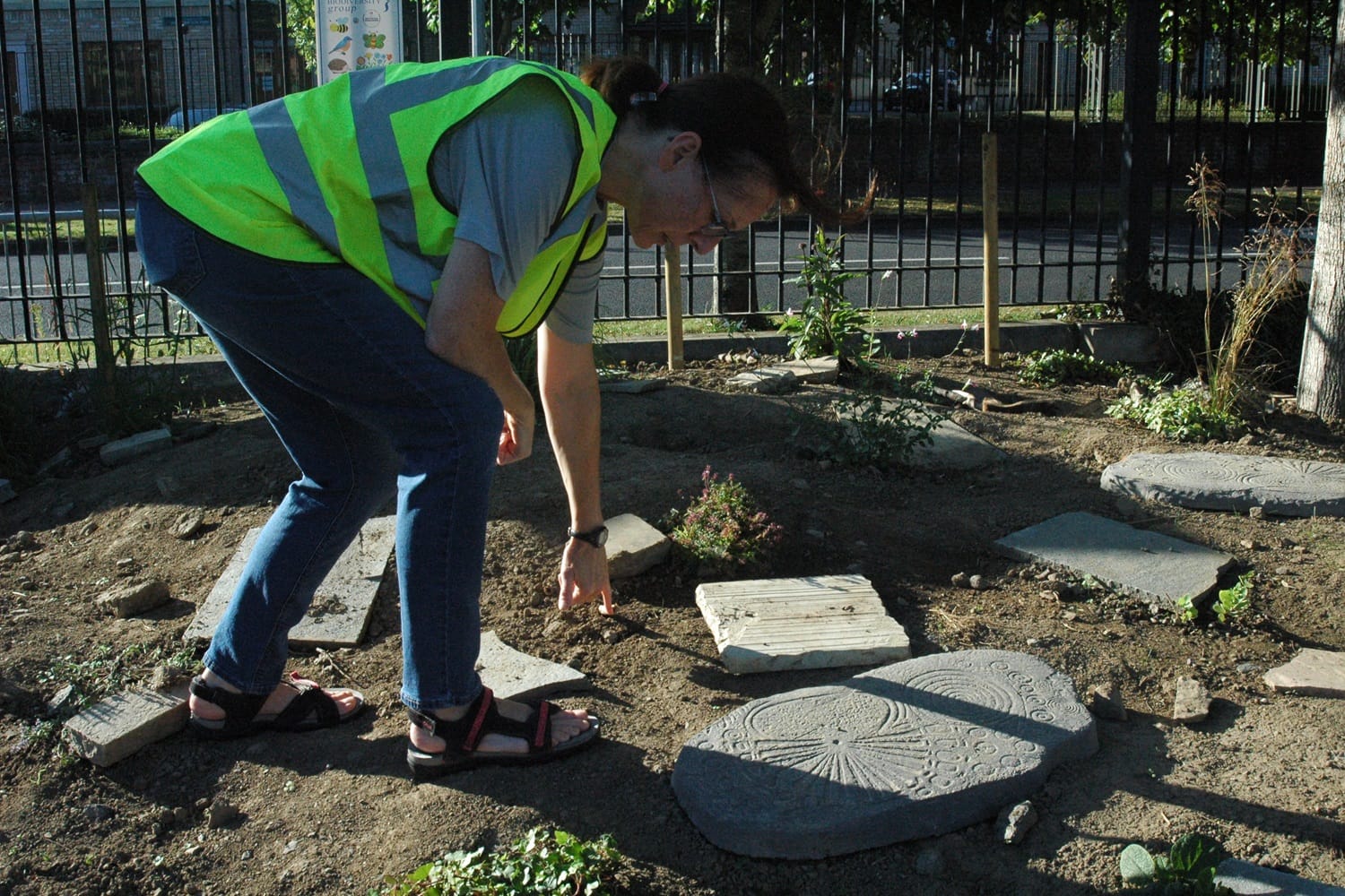 In Porterstown, a public garden offers a template for residents who want to attract more critters to the area