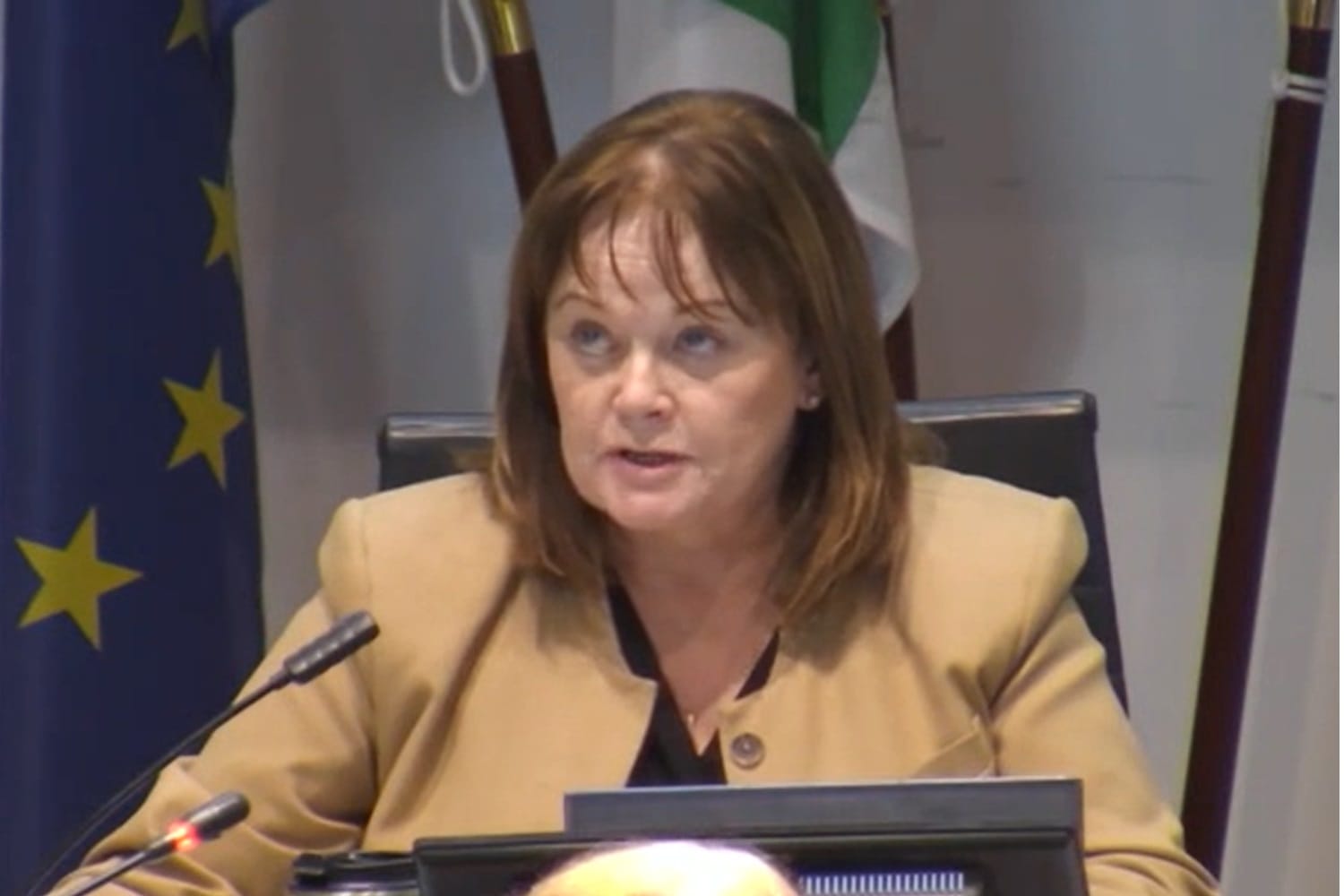 Council Briefs: A battle over rezoning ALSAA lands, a call for more refuges in Fingal, and giving owner-occupiers a shot at apartments