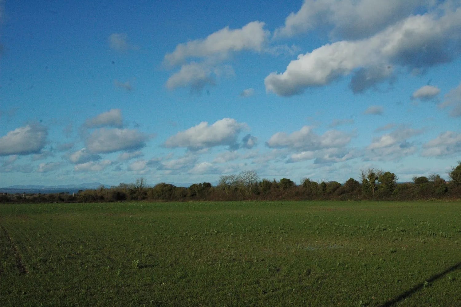 Council briefs: A new plan for Flemington, pushing for orchards, and more