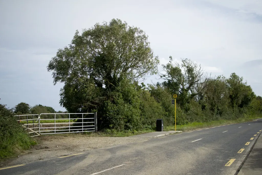 Council briefs: Rethinking community wardens, lighting up parks in evenings, and upgrading bus shelters