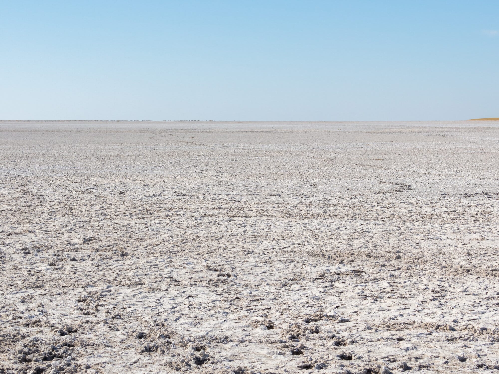 Vehicle tracks crossing the white salt expanse of the Makgadikgadi pans under a wide blue sky