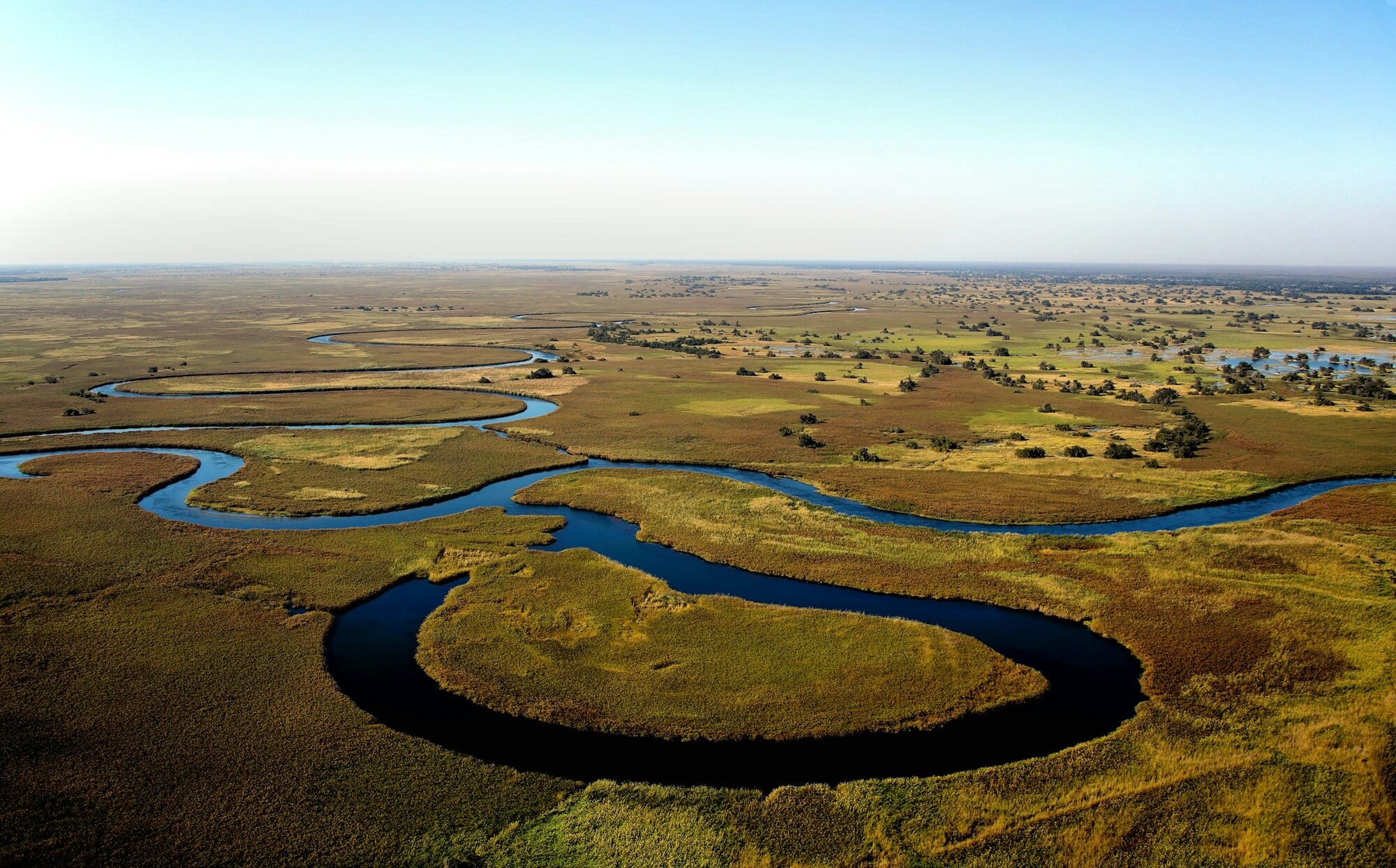 Aerial view of the Okavango Delta at flood, with channels and palm islands stretching to the horizon