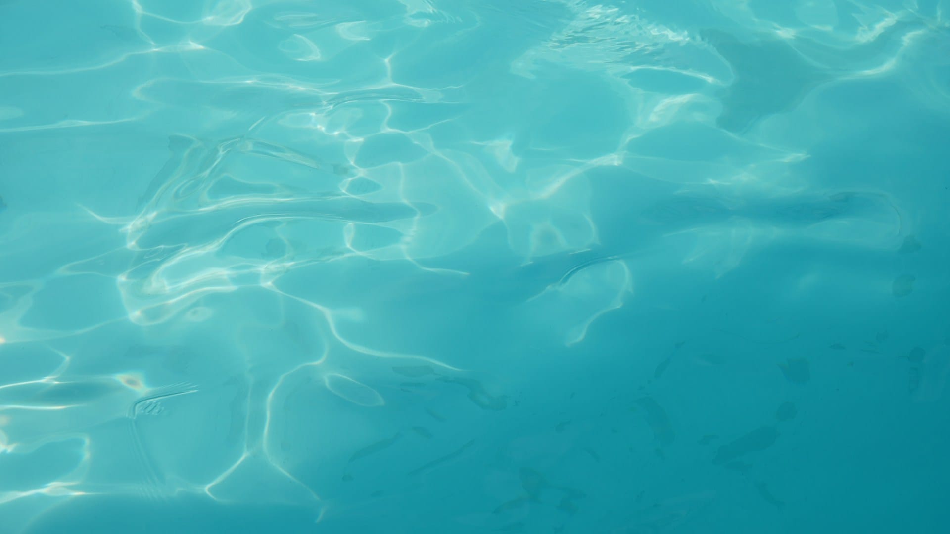 Sunlight refracting through clear turquoise water on a coral reef