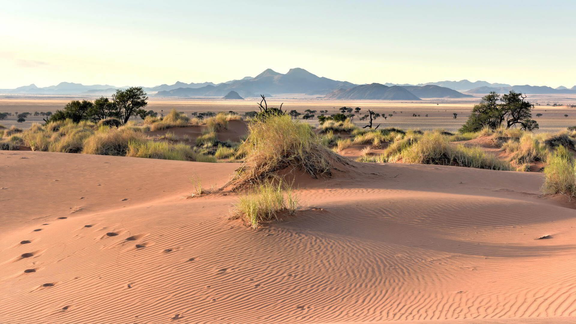 Granite outcrops and sweeping golden grasses of the NamibRand reserve in southern Namibia