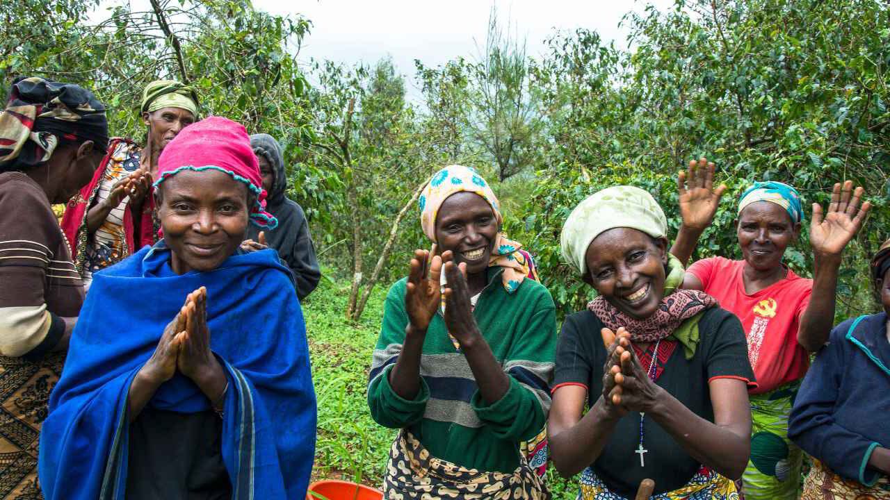 Rwandan community scene on a forested hillside, the texture of the country between the parks