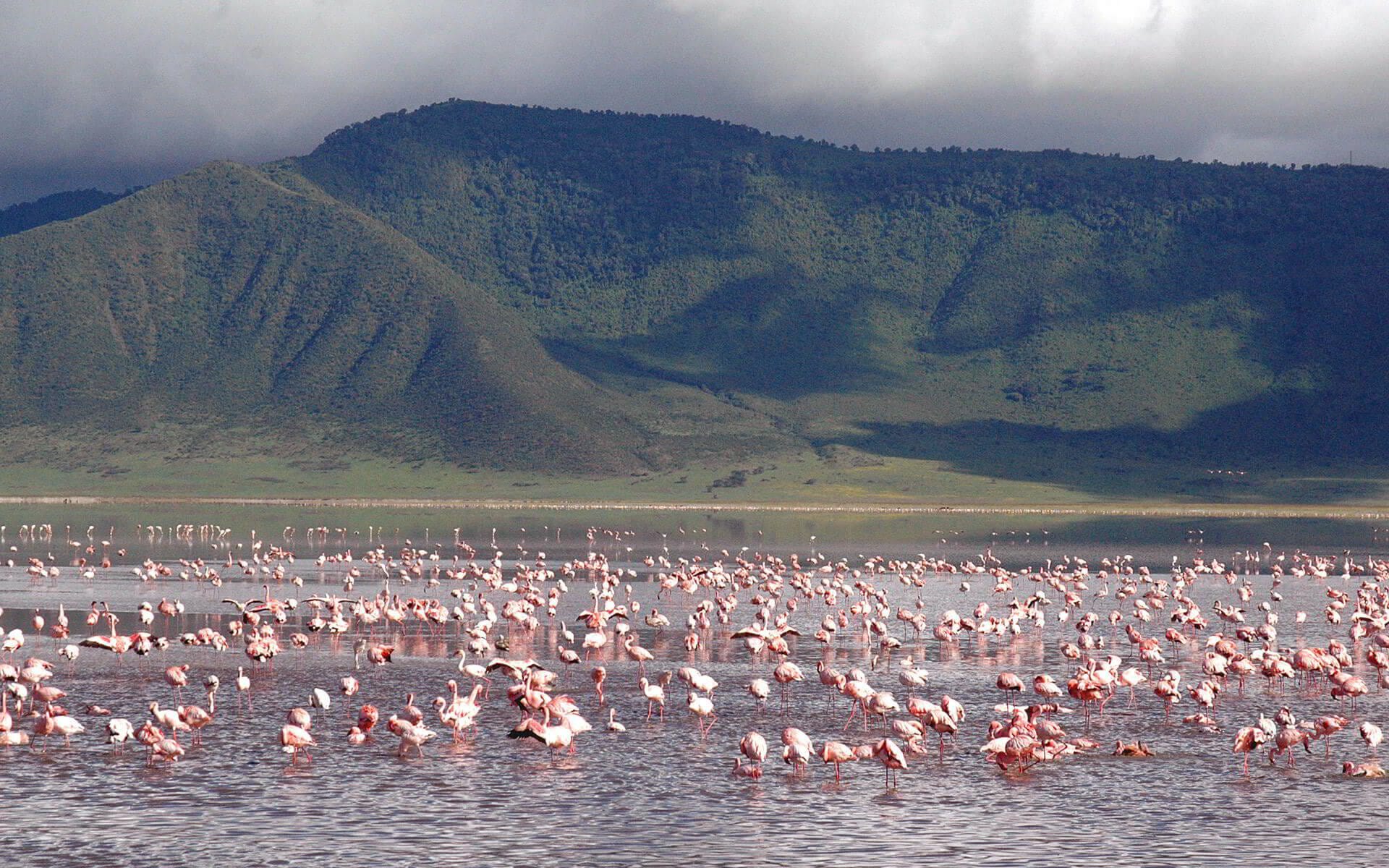 Stone-built lodge built into the rim of the Ngorongoro Crater at golden hour