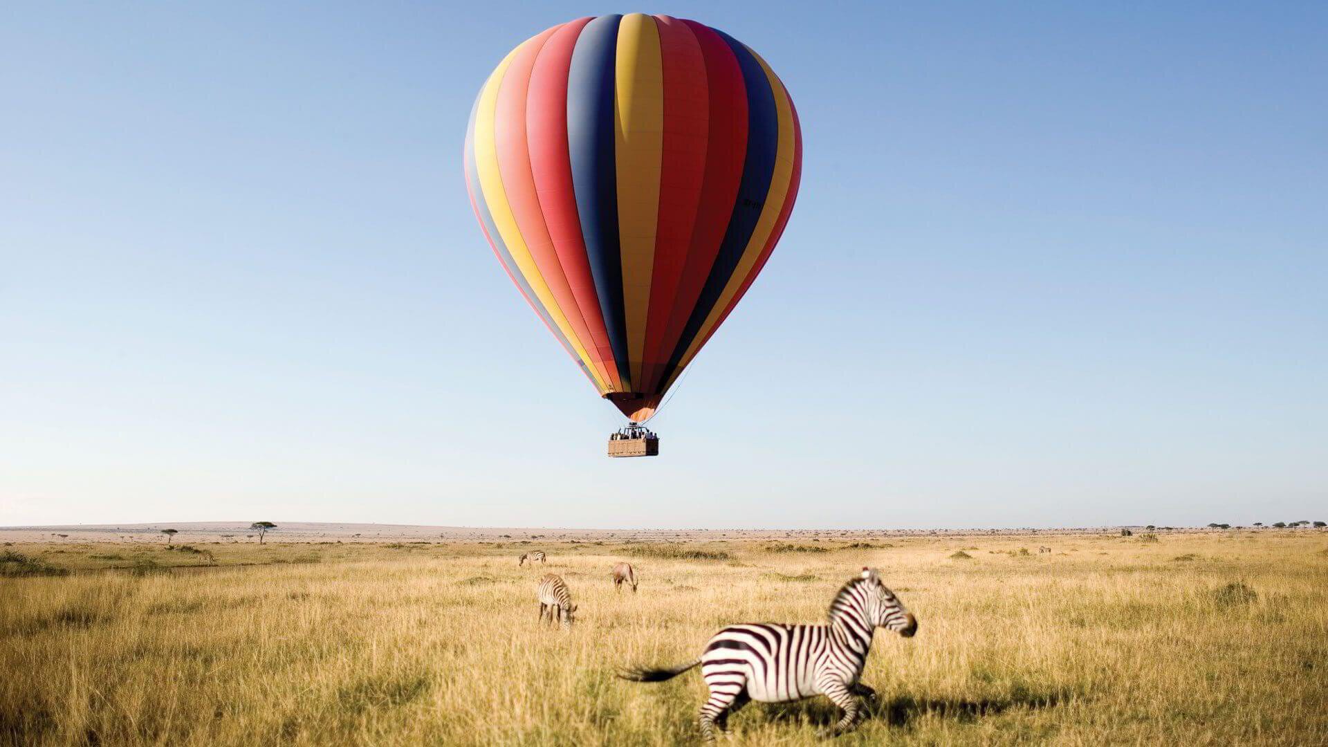 Hot air balloon over the Tarangire river system with elephants below