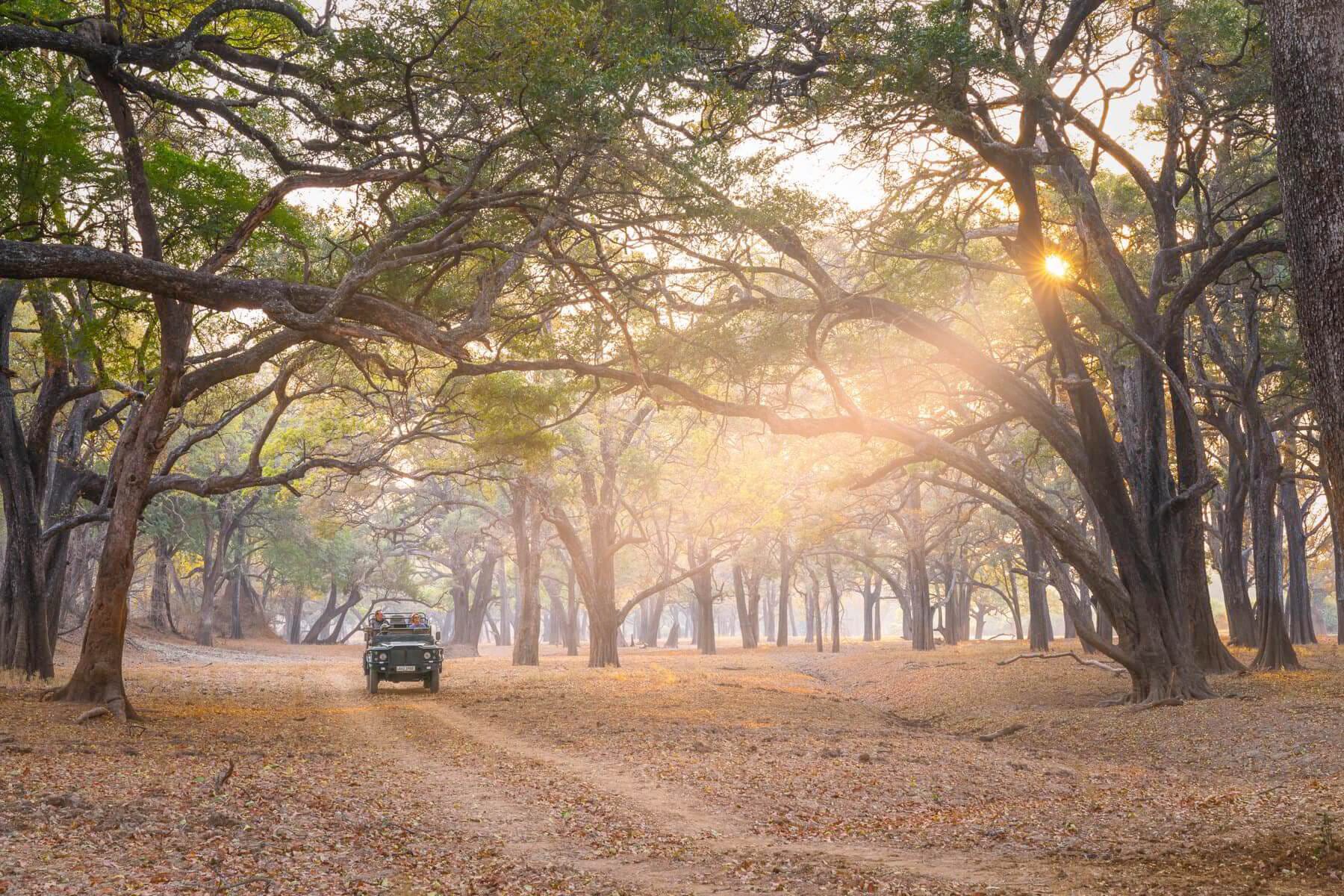 Kafue National Park landscape with riverine bush and open floodplain