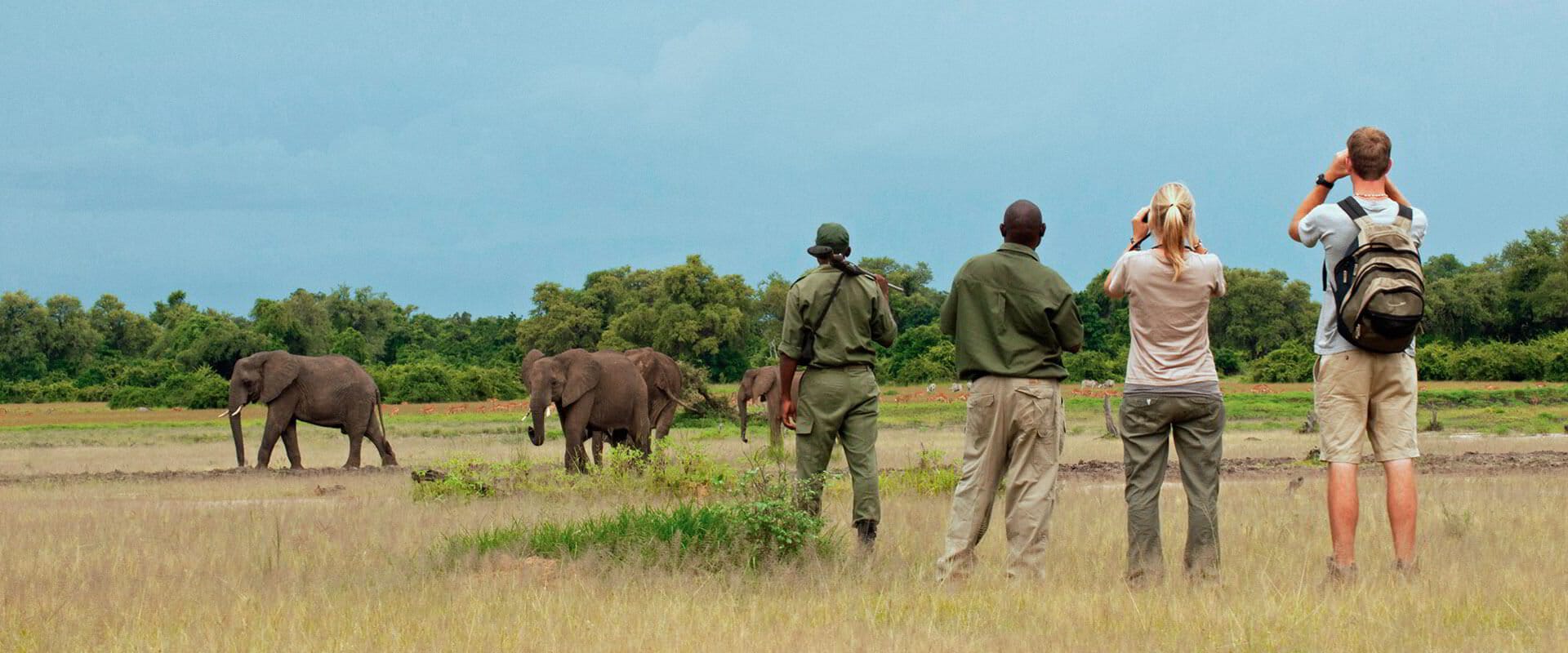 South Luangwa game drive in the dry season, the route for our nine-night Zambia itinerary
