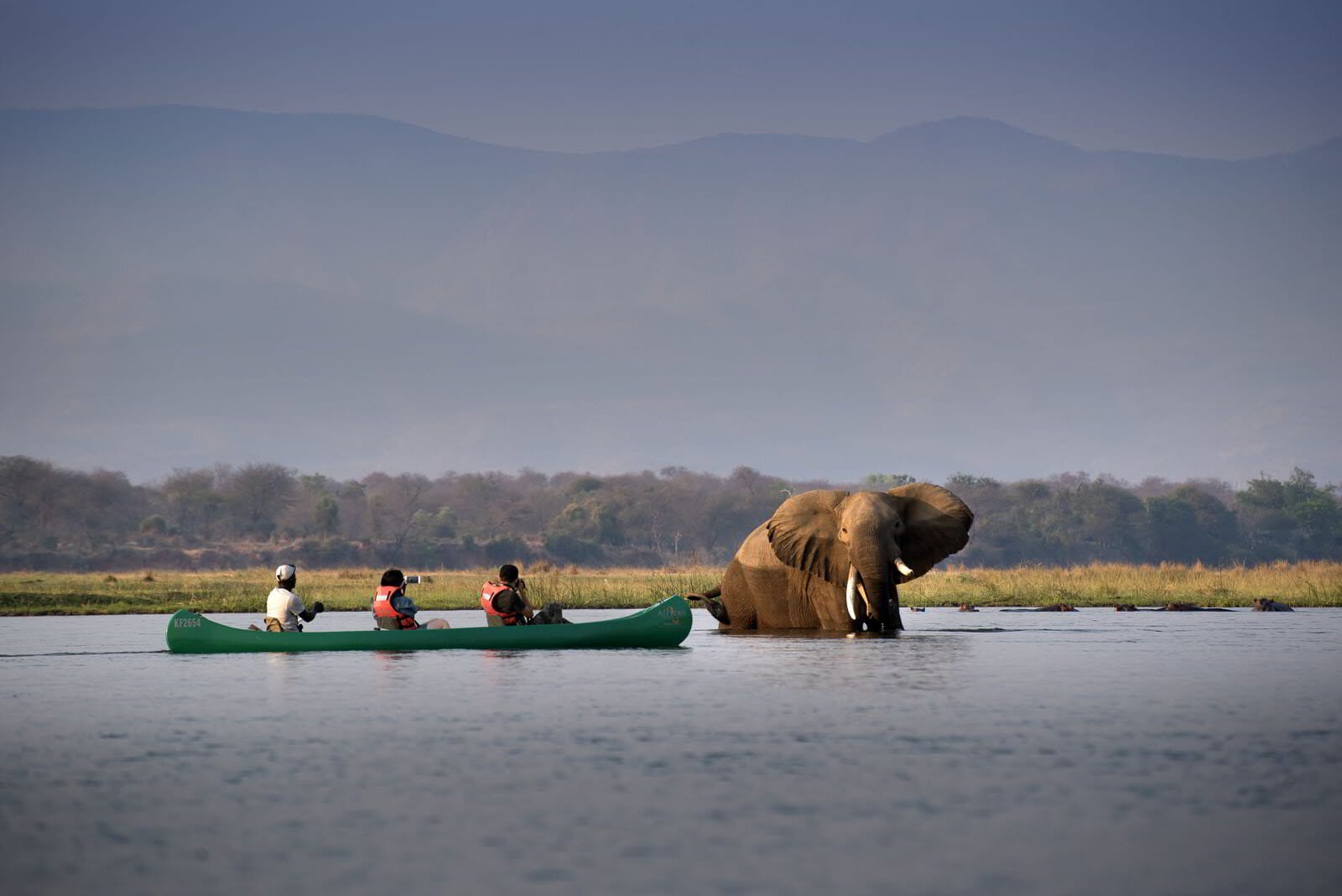 Canoe safari on the Zambezi River through Mana Pools National Park