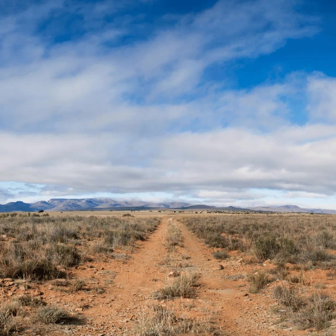 Vehicle on a dust road in the Eastern Cape, malaria-free Big Five country backed by Karoo hills