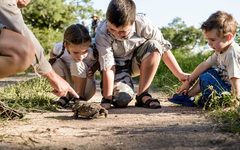 Young children on a guided bush walk through the South African lowveld, crouching to examine animal tracks