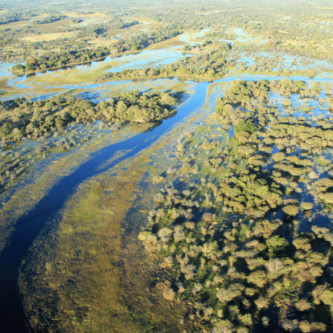Mokoro polers on a glassy channel in the Okavango Delta at first light