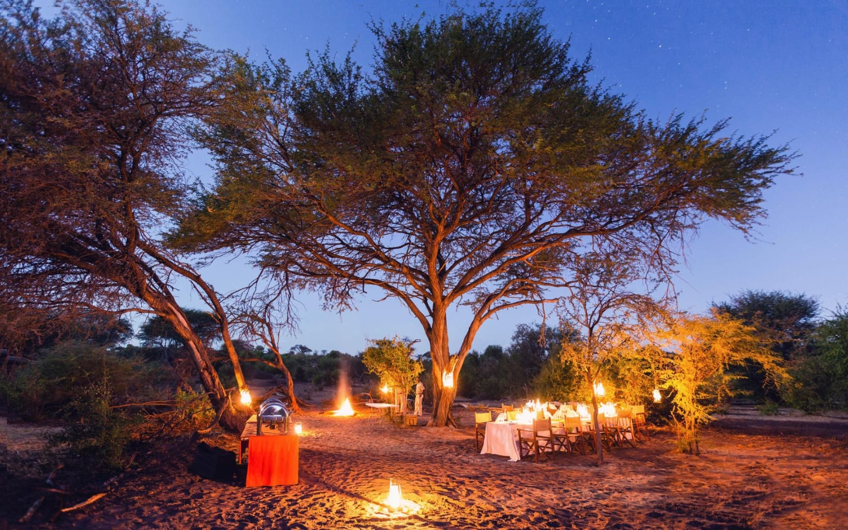 Bush dinner under an acacia at twilight, lanterns and a long table set in the sand, fire glow and stars overhead