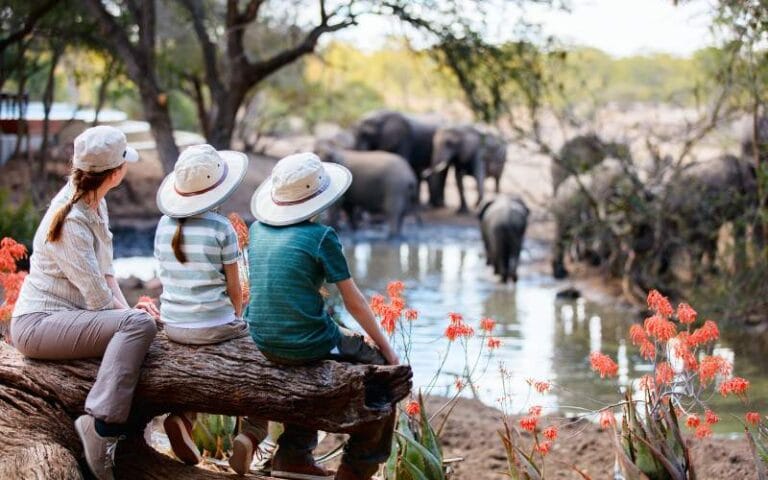 A family having breakfast outdoors at a South African lodge with a boma fire in the background