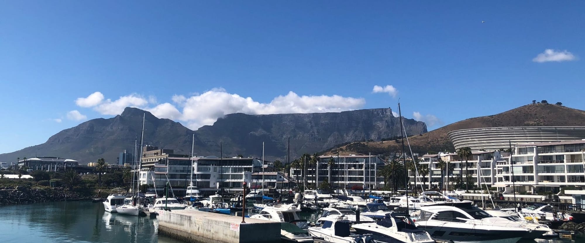 Cape Town V&A waterfront on a clear day, Table Mountain holding the back of the frame, the city leg of a family safari