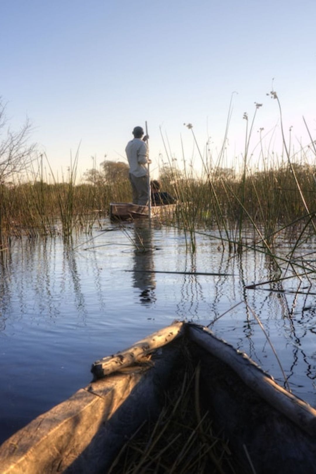 A poler guides a mokoro through reeds in the Okavango Delta at golden hour, viewed from a second mokoro behind