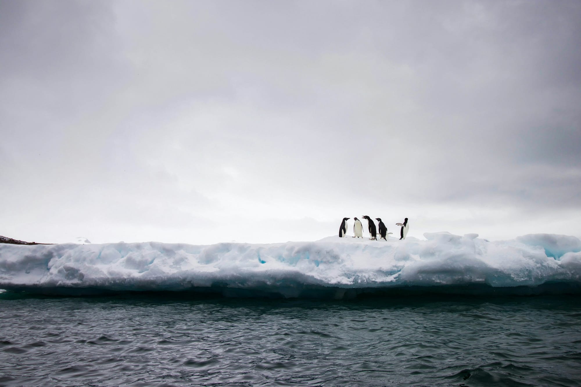 Long ridge above an Antarctic ice sheet in soft polar light