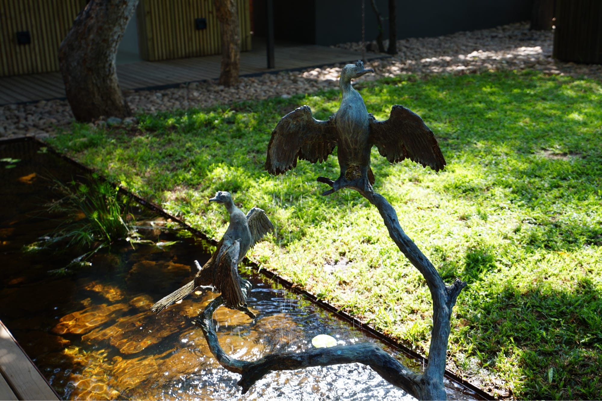 Two bronze cormorant sculptures on a branch over the pond at Lion Sands Ivory Lodge