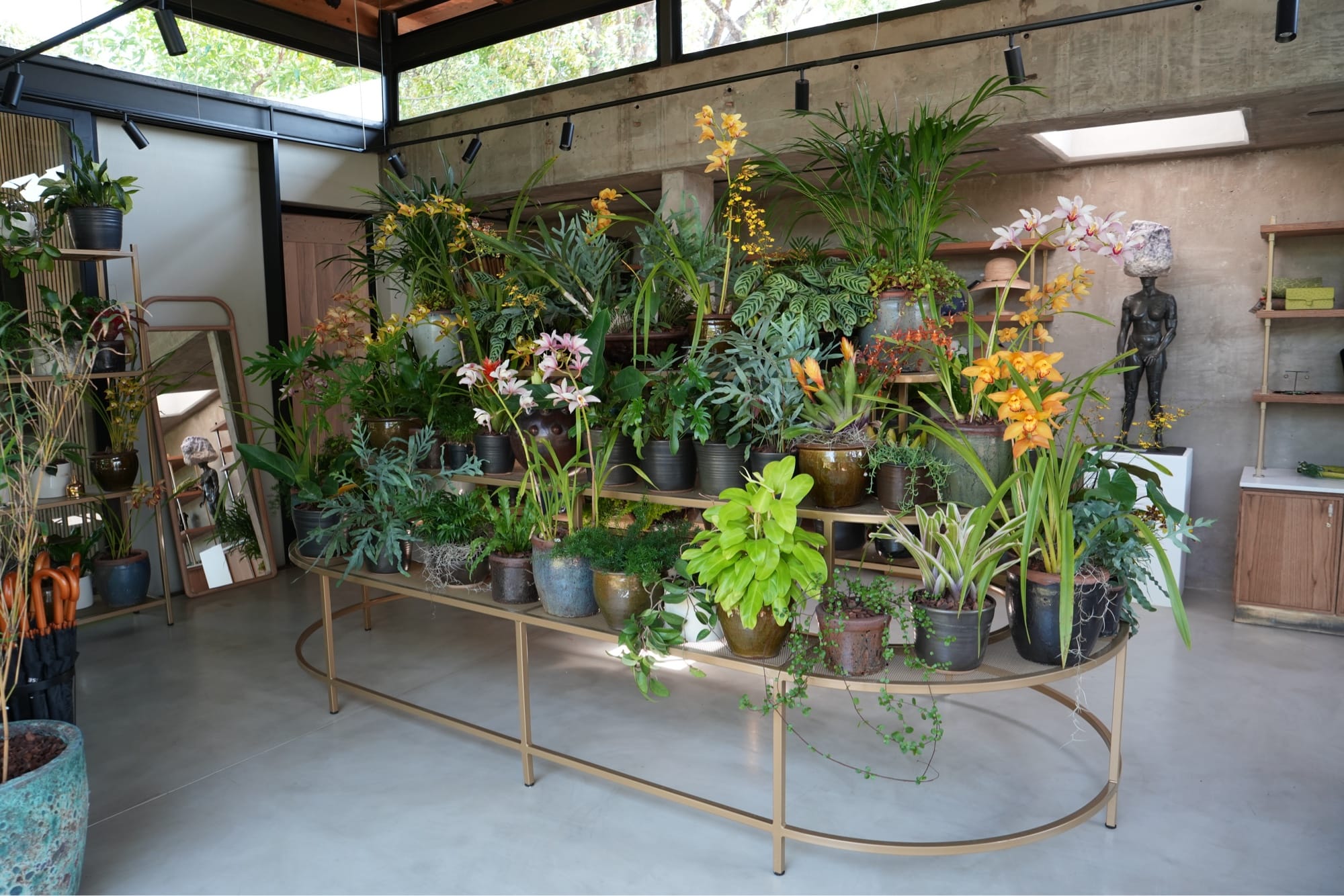 Tiered brass plant display with orchids and ferns inside the glasshouse at Lion Sands Ivory Lodge