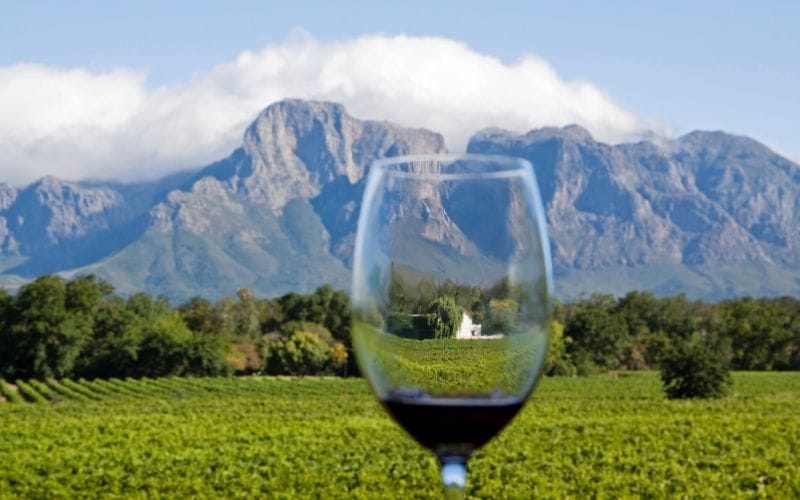 Mont Rochelle vineyards in autumn with the Franschhoek mountains behind