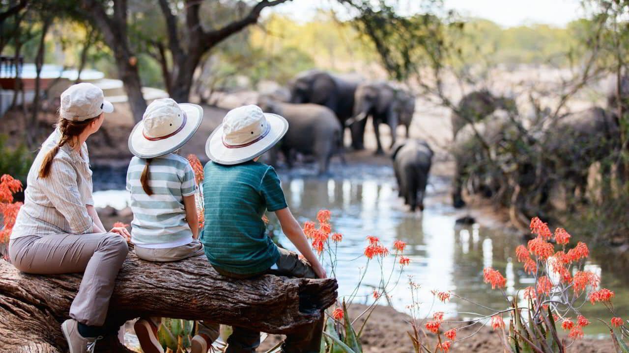 Mother and two children on a fallen log watching elephants drink at a waterhole, real attention, golden hour