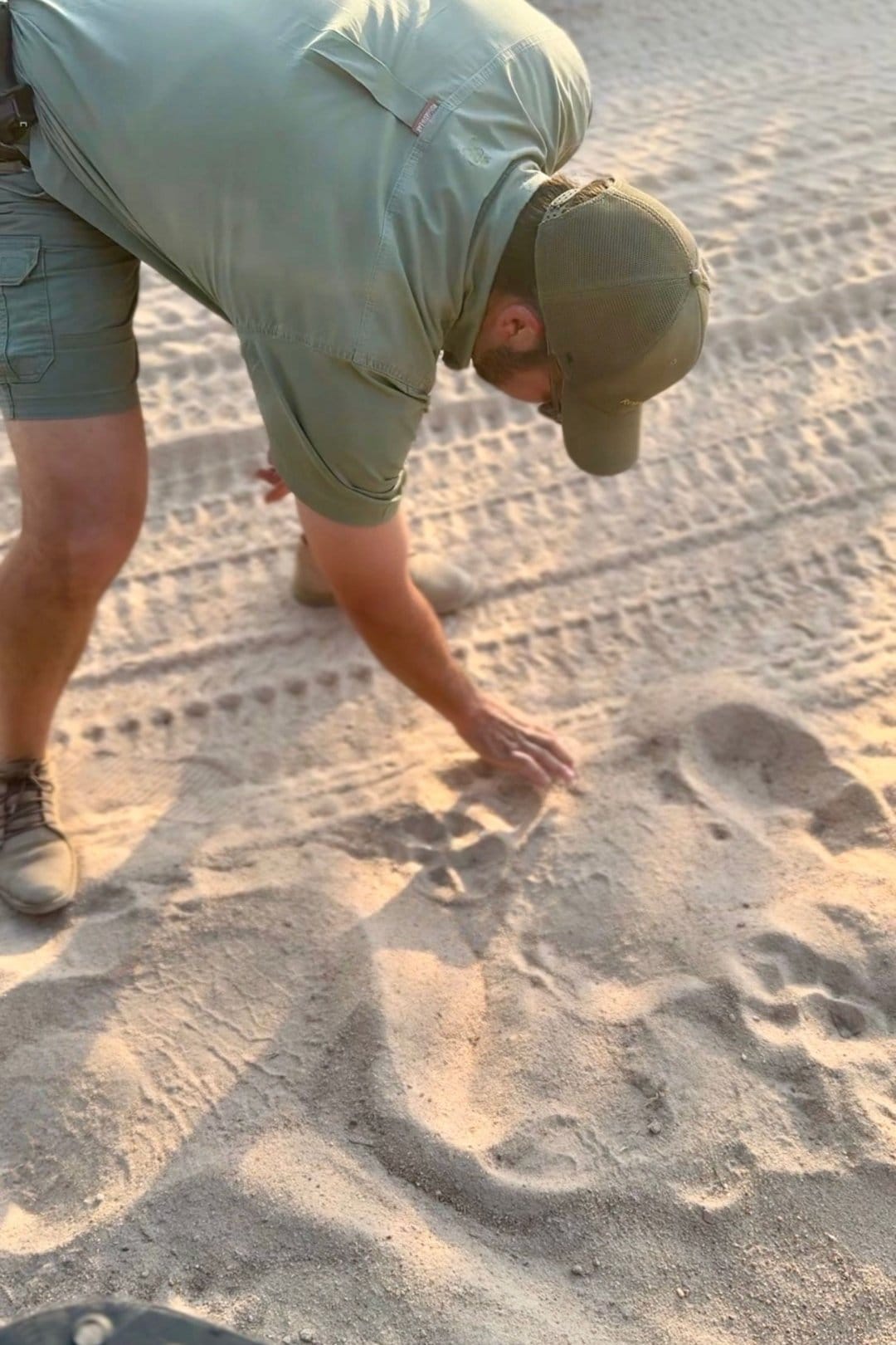 Guide identifying tracks in the sand