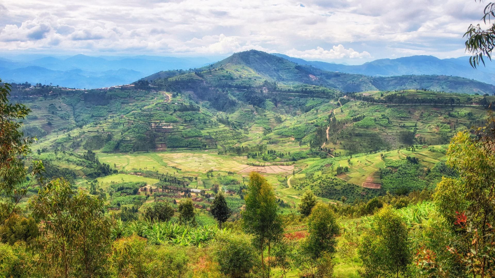 Rural Rwanda