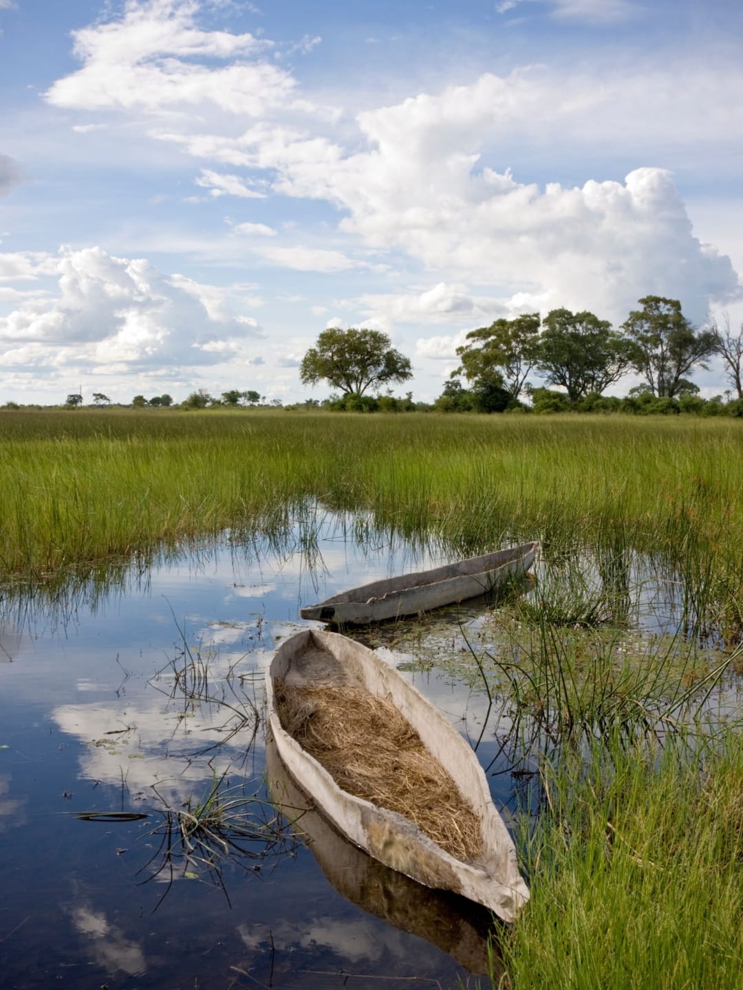 Two wooden mokoros rest in floating reeds and lily pads on a quiet Okavango Delta channel, the tree line and a clouded sky beyond