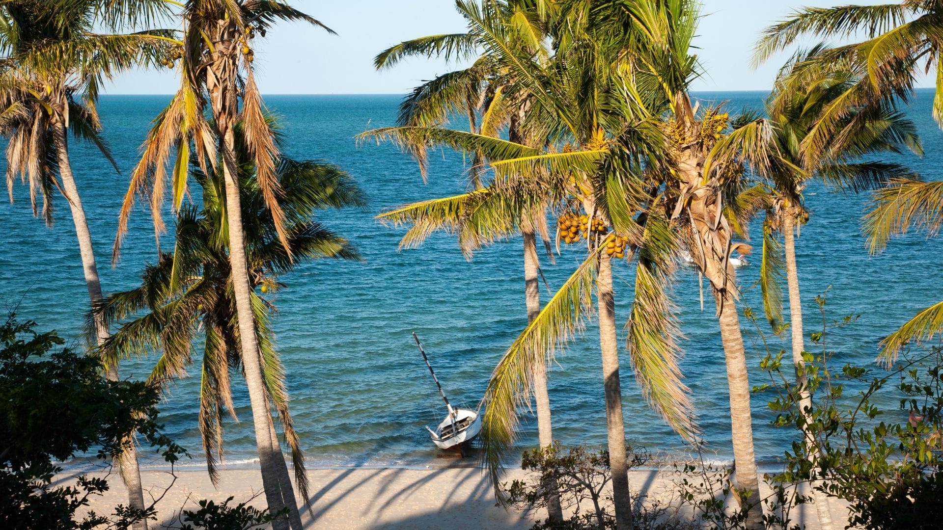 Palm trees and a small boat on the beach at the edge of the Indian Ocean, mainland Mozambique