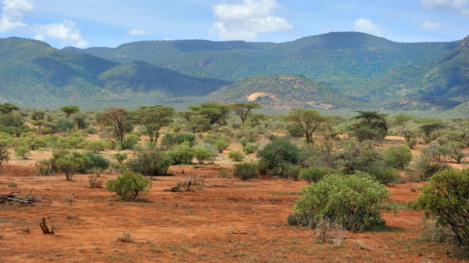 Laikipia landscape, red earth and scattered acacias with the Mathews range behind