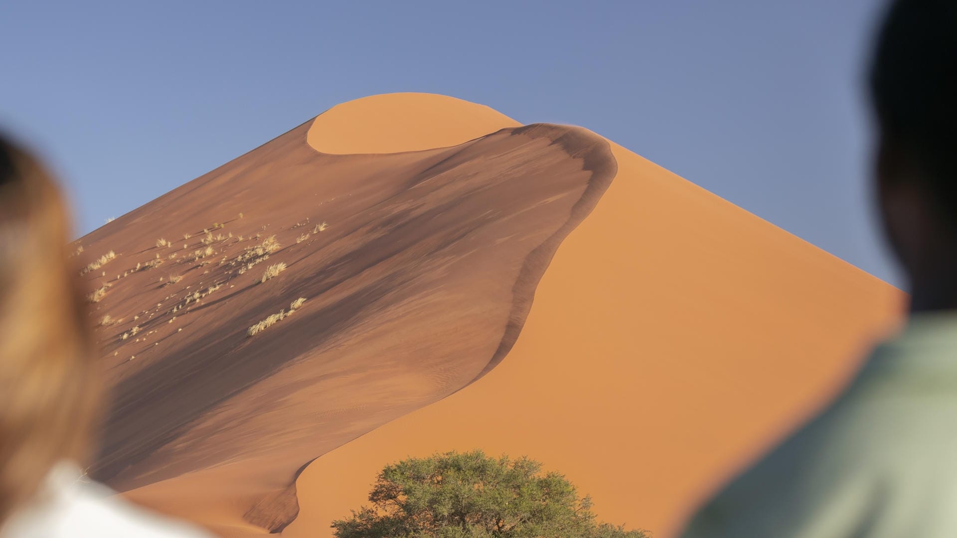 Two travellers looking up at a red Sossusvlei dune from the shade of a camelthorn, the sharp shadow line dividing sunlit and shadowed sand