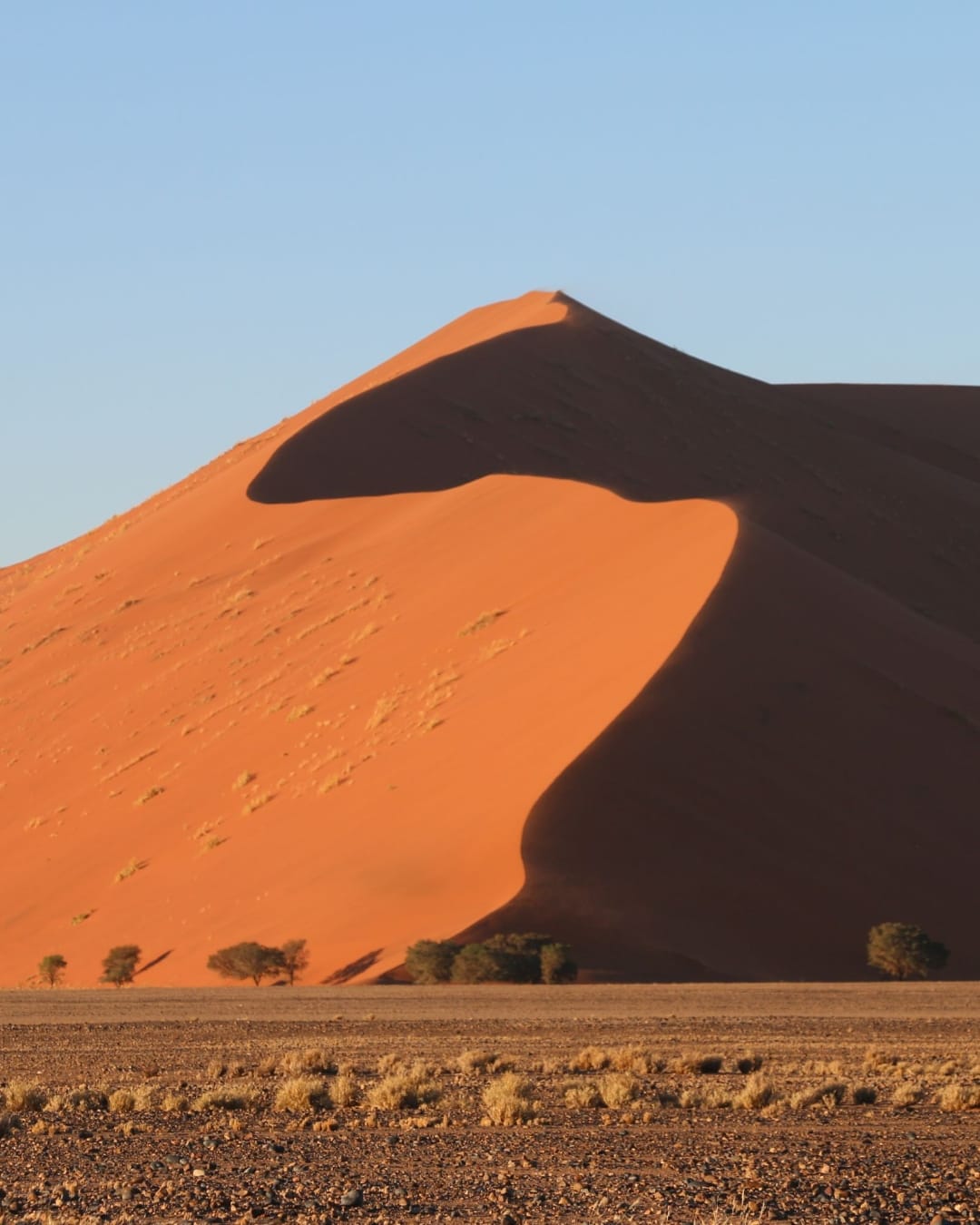 A towering red Sossusvlei dune in the late afternoon, the sharp shadow ridge line dividing sunlit and shaded faces, gravel plain in the foreground